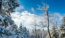 描写冬天的优美句子精选