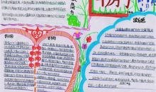 海底两万里好词好句好段摘抄