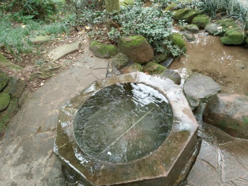 四年级组成：青城山水