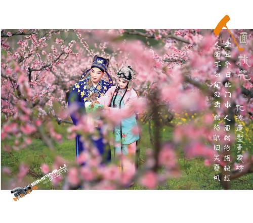 红桃花全诗