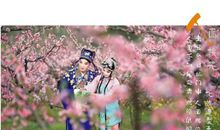 人面桃花相映红全诗