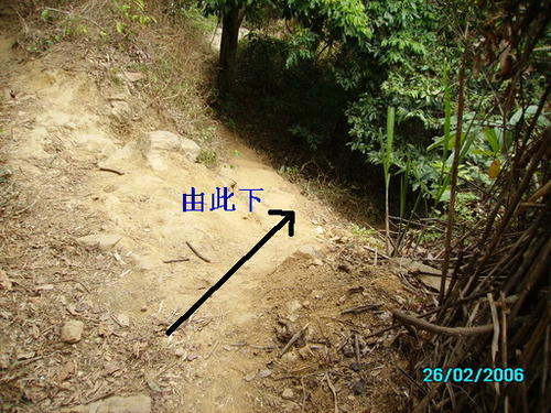 “古代足迹”组成