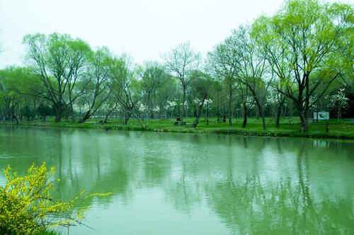 草和莺飞的全诗