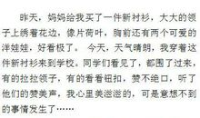 初中生叙事作文评语