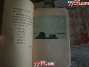 曹景华：花