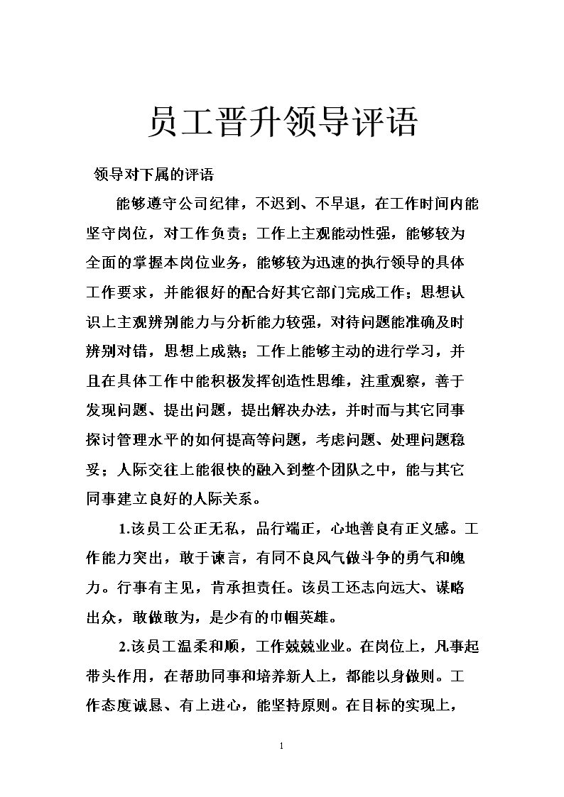 2016年上司对员工的评论