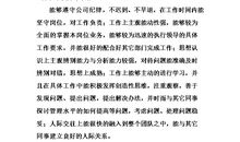 2016上级对员工的评语