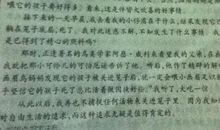 挫折也美丽作文600字