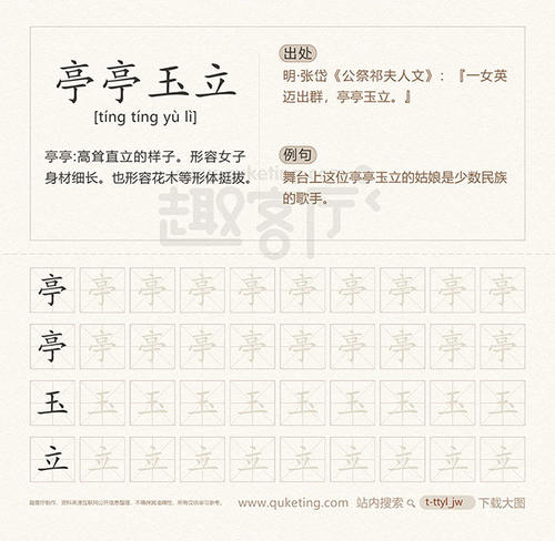 婷婷玉里