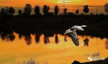 人生感悟:人生不过三万天,健康快乐最值钱