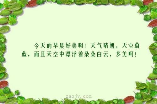 关于天气的声明