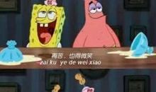 关于海绵宝宝的句子