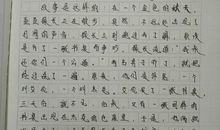 红楼梦读后感作文