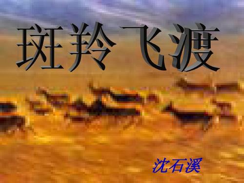 高卢飞行读书笔记