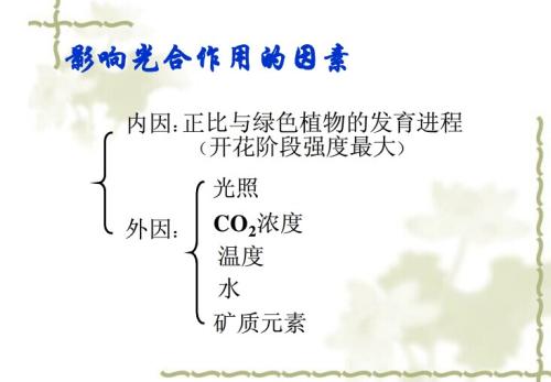 增长需要挫折叙事