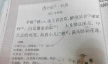 描写乡村田园风光的诗句