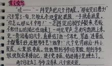 凡卡读后感300字