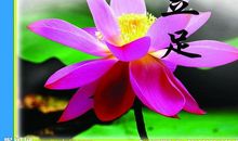 关于运动名人名言