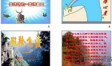 读斑羚飞渡后感