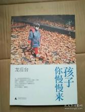 龙应台：野心