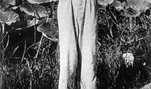 孙犁：住房的故事