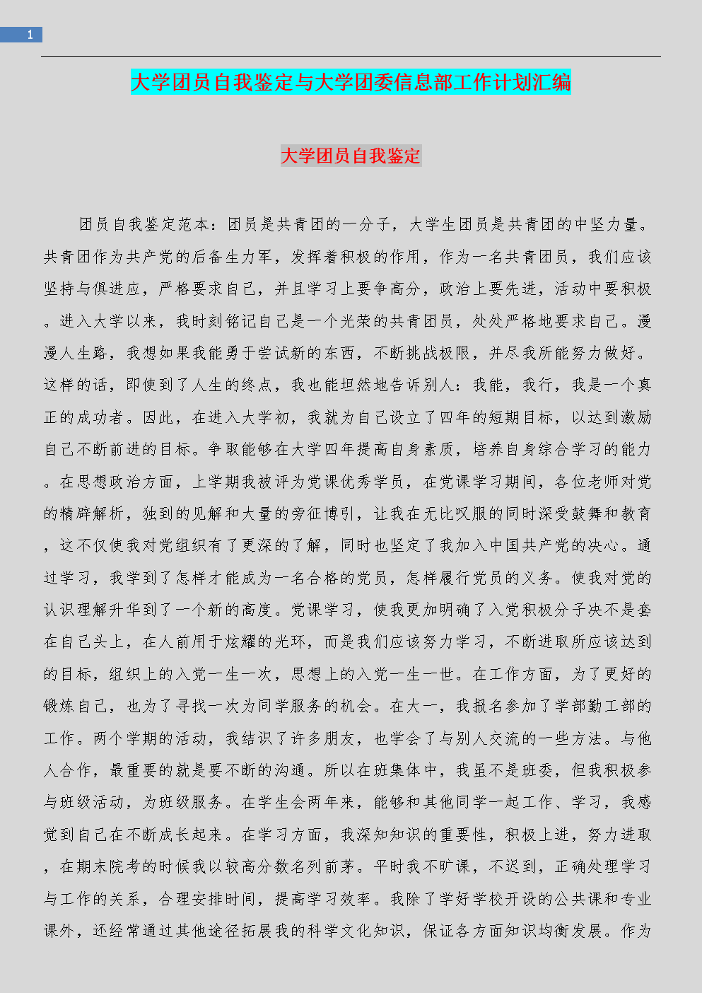 自我评估