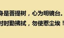 对生活的感悟的语句