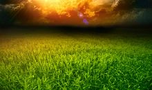 描写草原的句段