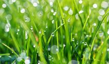 打开人生的11扇窗,美好总在风雨后起航