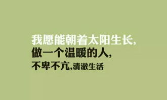 句子表达兄弟