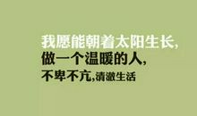 表达兄弟的句子