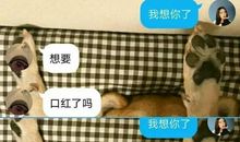 想你的短信大全