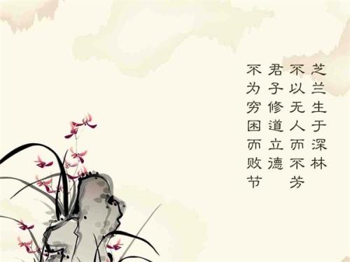互联网经典