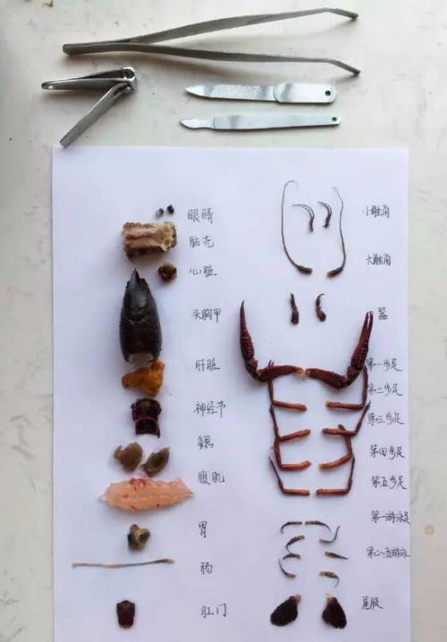 疯狂的谈话