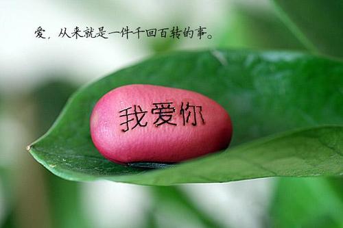 爱的礼物