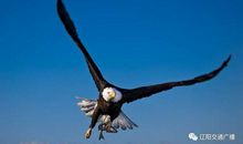 磨练，召唤成功的力量