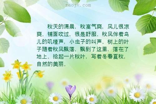形容鸟类的句子