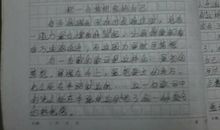 遇到挫折的作文