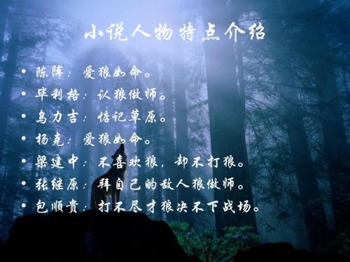 好节的狼图腾