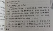 写人作文好词好句