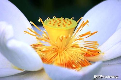 值得思考的短语