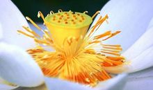 值得深思的短语