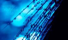 总有一杯酒，未饮人先醉