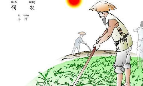 同情的意思