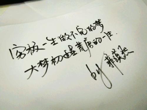 对文学充满感情的词