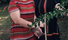 人生感悟:不必太在乎那些冷嘲热讽