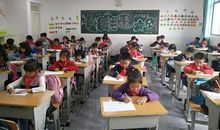 独木不成林造句