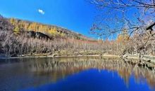 梁衡：天池绿雪