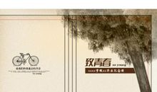 致青春经典句子