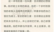 堂吉诃德读后感3000字